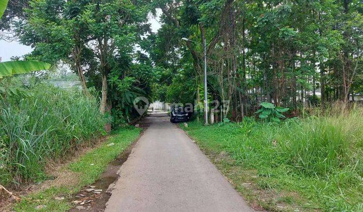 Dijual Tanah Murah Dibawah Harga Pasar Tanah Sereal Bogor  8