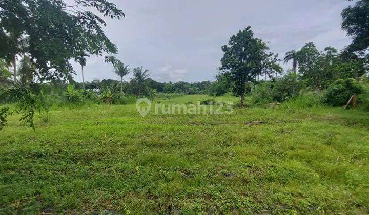 Dijual Cepat Tanah Murah Dibawah Harga Pasar Kemang Bogor 3