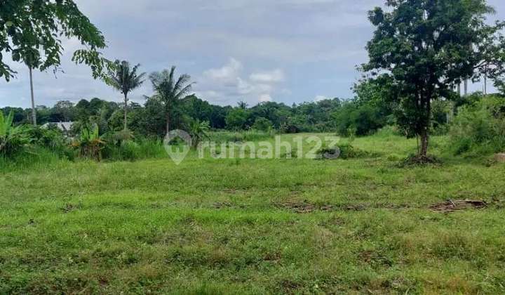 Dijual Cepat Tanah Murah Dibawah Harga Pasar Kemang Bogor 5