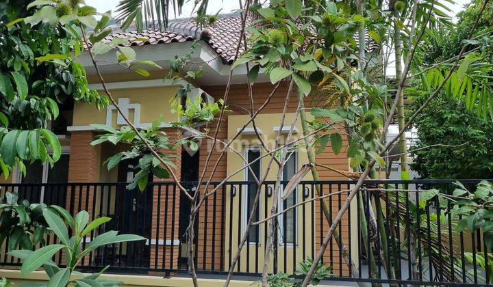 Rumah 2 Lantai, Rapih di Griya Sutera Alam Sutera, Posisi Hoek 2