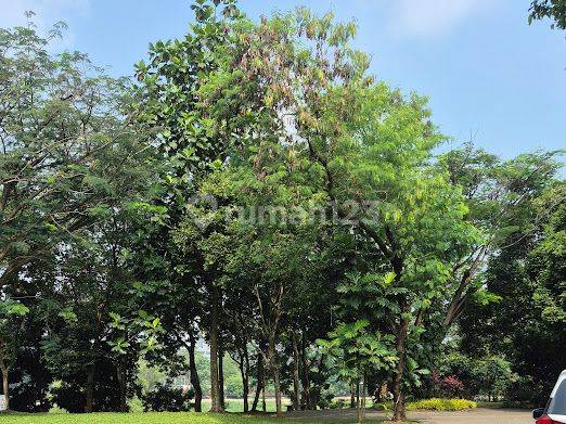 Turun Harga Rumah Siap Huni Full Furnished Di Green Cove Bsd City 2
