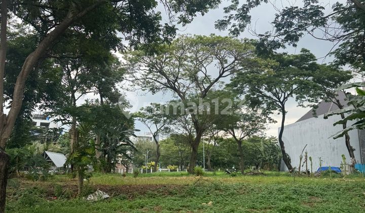 Tanah 660 m2 Perumahan The Forest, Jakarta Utara Tanah 660 m2 Perumahan The Forest, Jakarta Utara