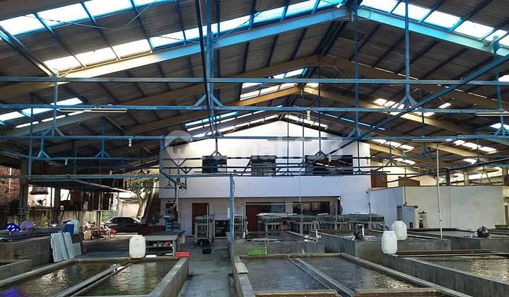 Cengkareng, 4000 M Warehouse for Sale