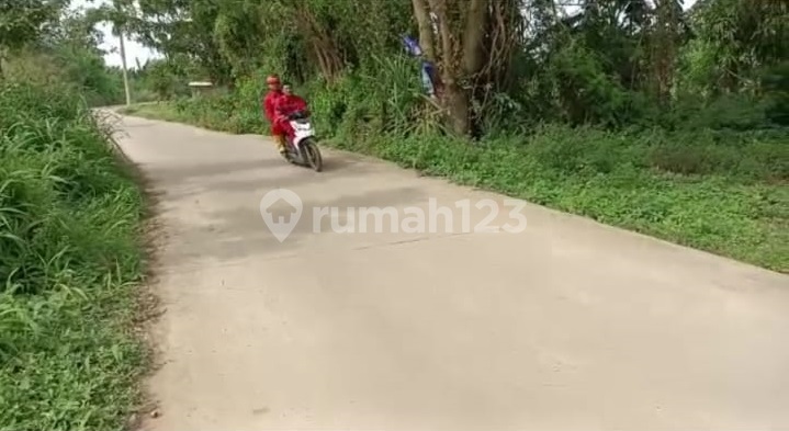 Dijual Tanah Pinggir Jalan di Babelan Bekasi 3