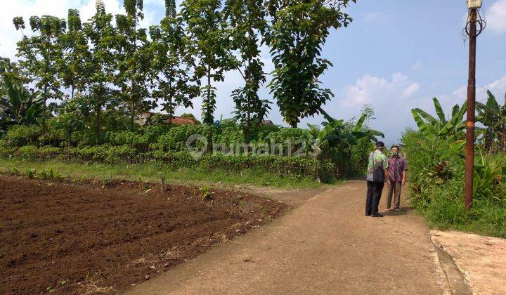 Tanah di Komplek Perumahan Dramaga Cantik, Bogor SHM 260 m² 1