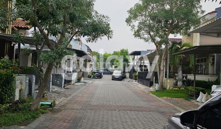 Dijual Rumah di Alam Hijau Blok E Citraland 2