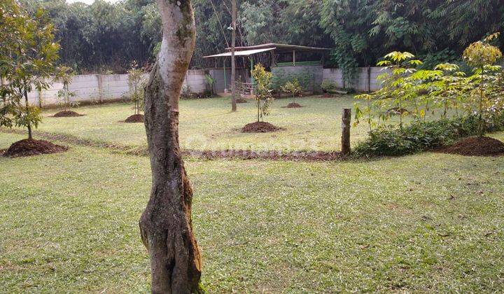 Tanah dijual di rumpin bogor 6