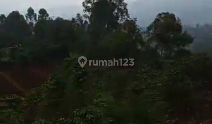Tanah dijual di pasir jambu,ciwidey 5