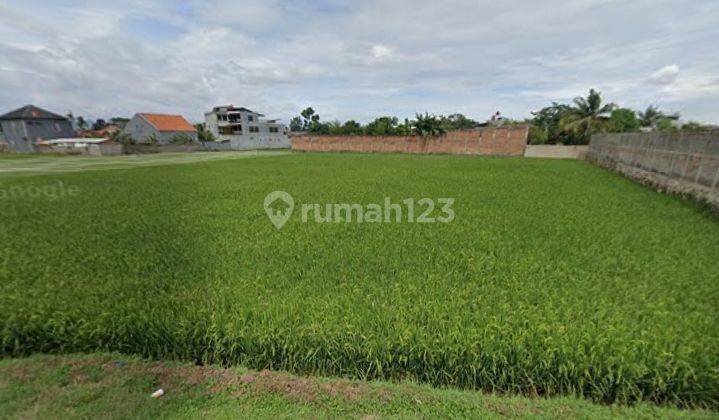 Masih bisa Nego loh,Cocok nih bangun Hunian,Pabrik atau Gudang 3