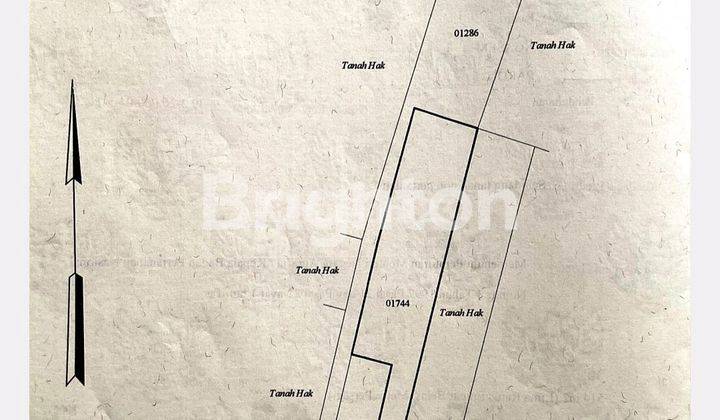 Tanah 514m2 Bonus Bangunan Klasik, Dekat Simpang Lima Gumul Kediri 2