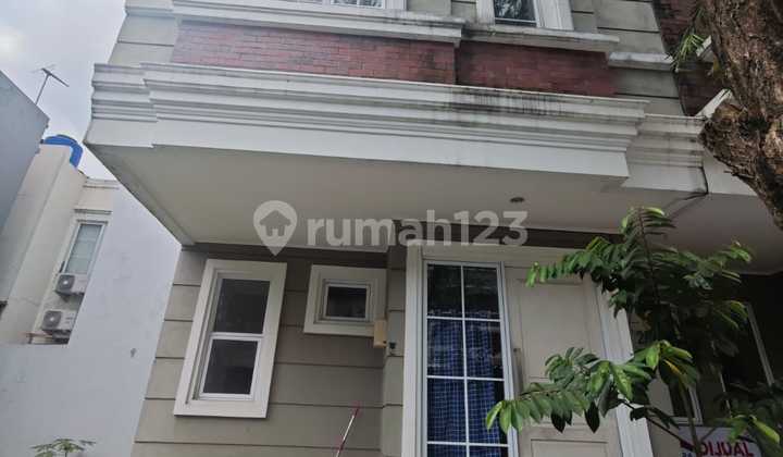 Disewakan Rumah di Cluster Amarillo, Gading Serpong 5X8 Disewakan Rumah di Cluster Amarillo, Gading Serpong 5X8