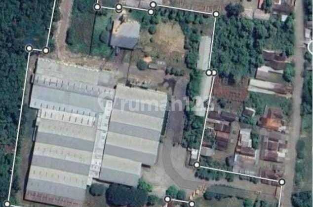 Ready-to-Use Strategic Wood Processing Warehouse in Batang