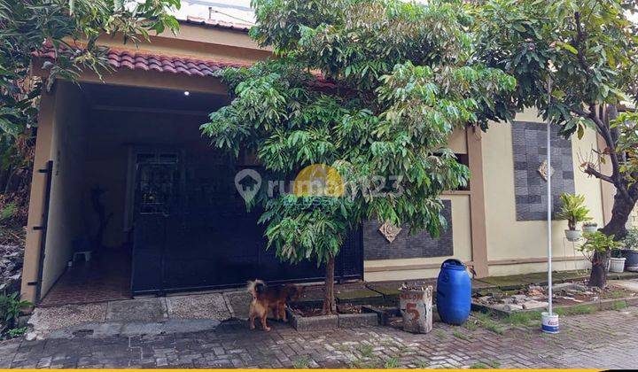 Rumah Siap Huni Bagus di Jalan Sugriwo Krapyak 1