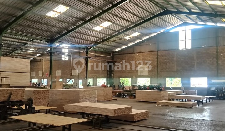 Ready-to-Use Strategic Wood Processing Warehouse in Batang