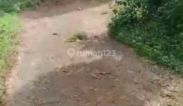 Di jual tanah cocok untuk ternak apa aja 3