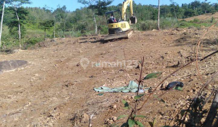 Di jual Trategis untuk bikin ternak investasi berkebun  3