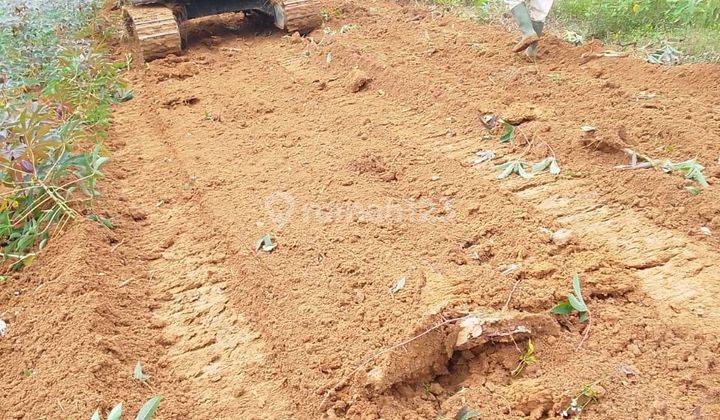 Di jual Trategis untuk bikin ternak investasi berkebun  4