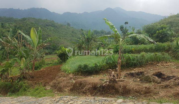 Di jual tanah best view luas 1 ha harga 65rb/m  3