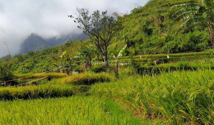 Di jual tanah dekat wisata situ rawa gede sukamakmur cocok untuk vila berkebun 1