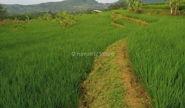 Di jual tanah dekat wisata situ rawa gede sukamakmur cocok untuk vila berkebun 2