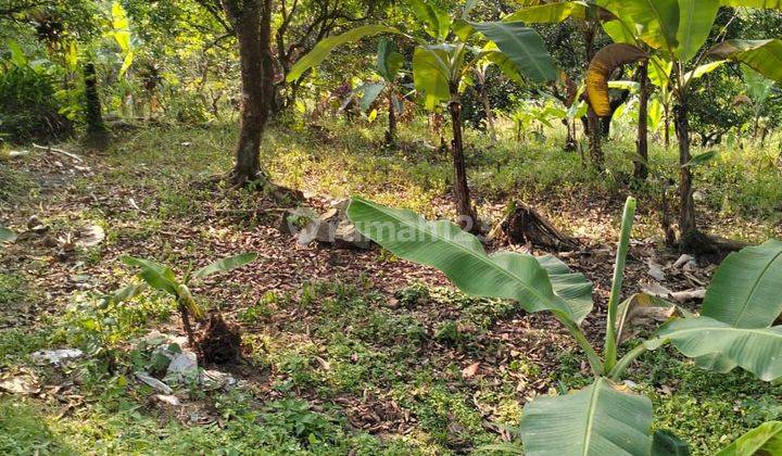 Di tanah surat Sartepikat hak milik pinggir jalan raya cibadak sukamakmur 2