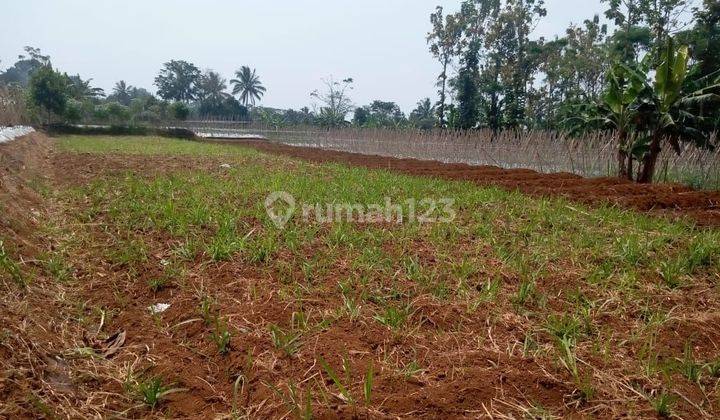 Di juala tanah di Cijeruk cocok untuk vila rumah berkebun udara dingin 2