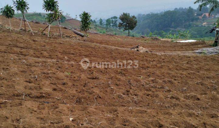 Di jual tanah di pancawati dekat cafe daong  view lepas cocok untuk vila cafe buka usaha 1