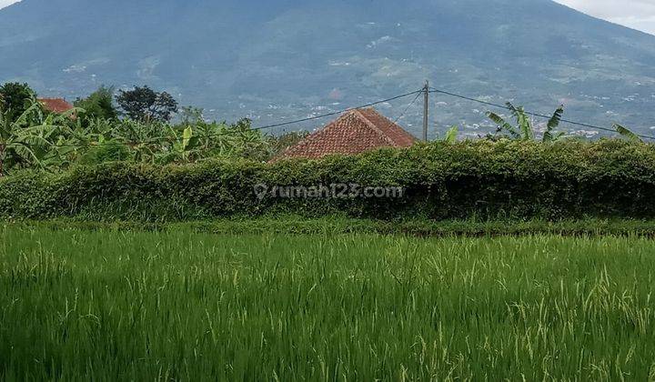 Tanah bagus sawa&darat lokasi cimande caringin harga 600rb/m shm 1