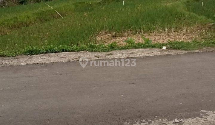 Lokasi cocok untuk buka usaha rumah pinggir jalan raya luas 600mtr harga 350rb/m 2