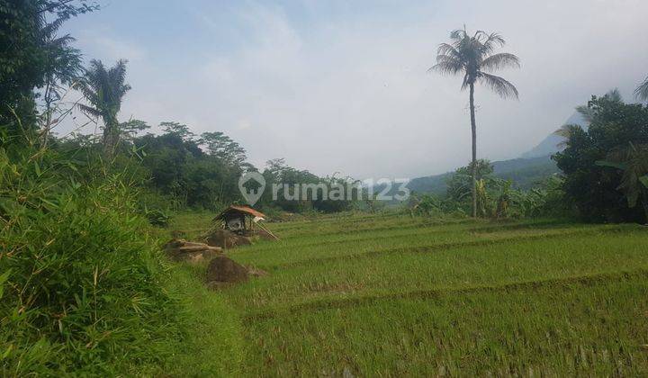 Lokasi bagus pinggir kali besar view bagus luas 3000mtr harga 120rb/m 1