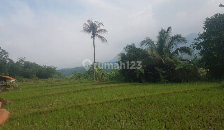 Lokasi bagus pinggir kali besar view bagus luas 3000mtr harga 120rb/m 2