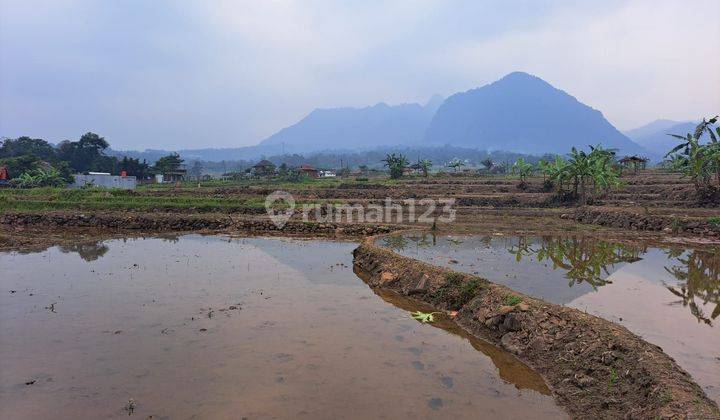 Lahan sawah luas 5000mtr leg shm harga 400rb/m nego 1