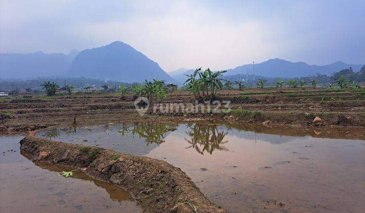 Lahan sawah luas 5000mtr leg shm harga 400rb/m nego 2