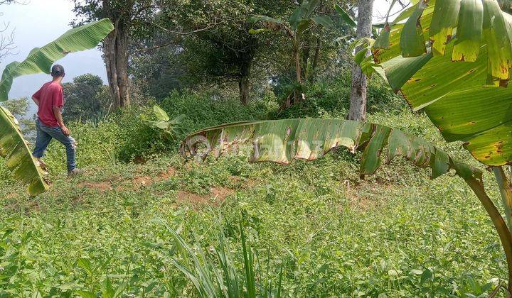 Lahan cocok untuk vila ternak berkebun luas 2 ha harga 85rb/m 2