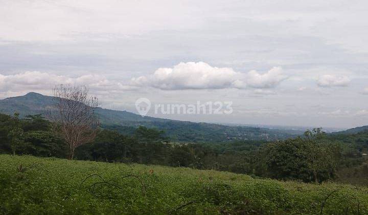 Lahan rata view bagus luas 5ha ada mata air nya 100rb/m 1