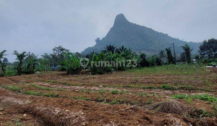 Di jual tanah surat shm harga 300rb/m lokasi dekat cafe Ki Demang  2