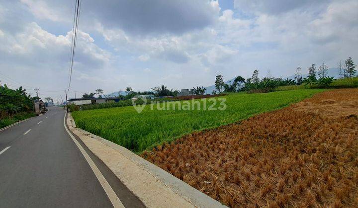 Di jual tanah Luas 1,2ha harga 500rb/m nego 1