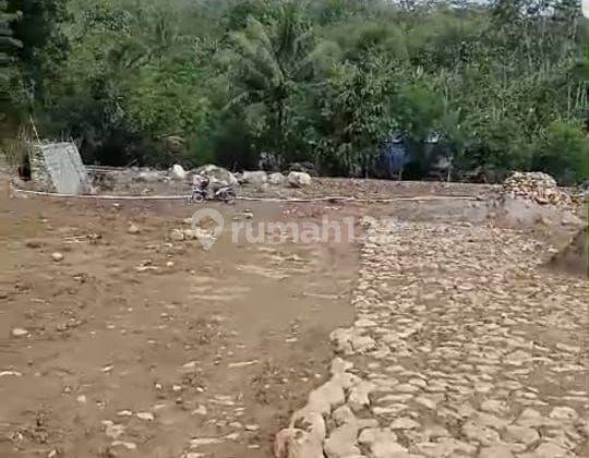 Lahan Baguc Dekat Kantor Kec Sukamakmur 150rb/m 2