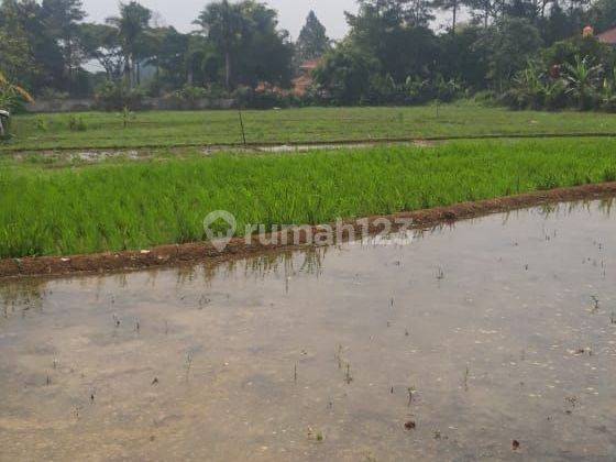 Lahan Di Jual Luas 2 Ha Surat Shm Harga 1,2jta Nego 1