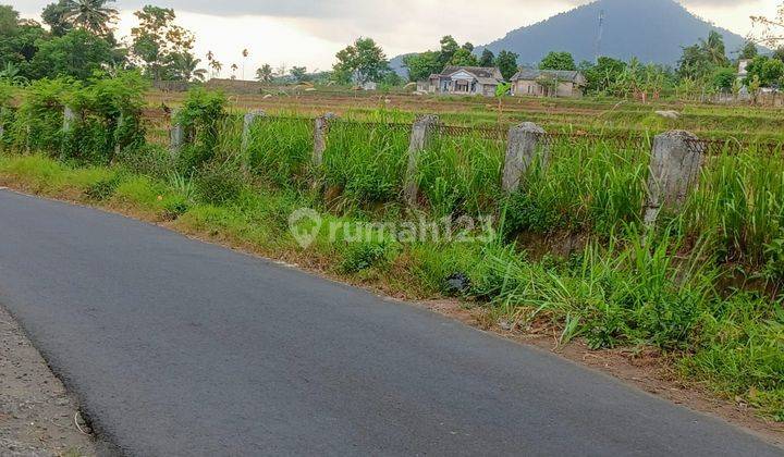 Di Jual Lahan Sawah Surat Shm Luas 2 Ha Haega 350rn 1