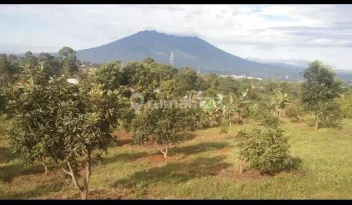 Di Jual Lahan Murah Lokasi Gunung Geulis Pasir Angin Keluar Tol Sumarekon 2