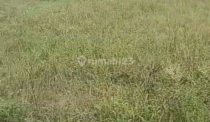 Lahan Bagus Buat Buka Usaha Harga 1,5jta 1