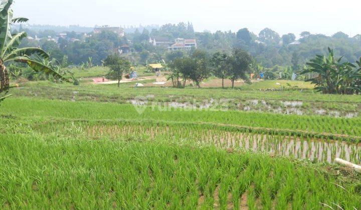 Lahan Di Jual Luas 2 Ha Surat Shm Harga 1,2jta Nego 2