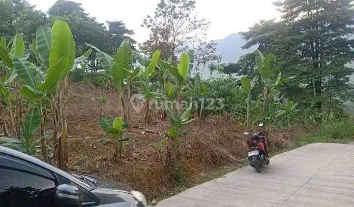 Lokasi Cibadak Tanjungsari Bogor Timur Hrga 50rb/m Luas 5ha 1