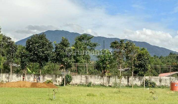 Tanah Bagus Di Pancawati Shm Harga 650rb/m Luas 1ha  1