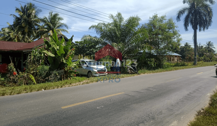 Dijual Tanah Tepi Jalan Raya Sungai Bakau, Mempawah 2