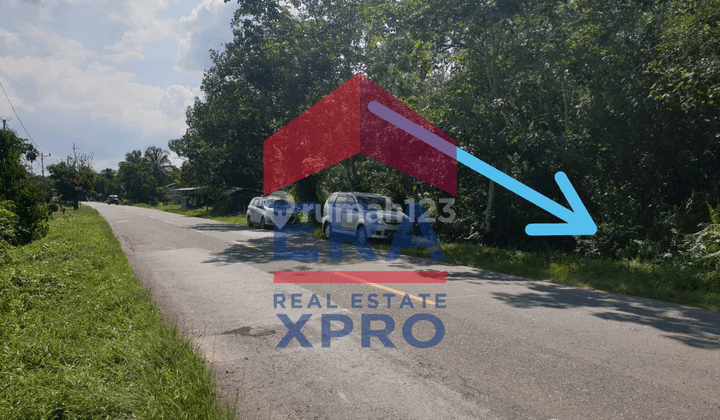 Dijual Tanah Cocok Untuk Investasi Jl. Trans Kalimantan, Kubu Raya 2