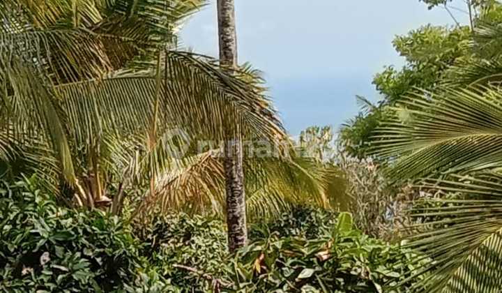 DI JUAL TANAH VIEW LAUT 1