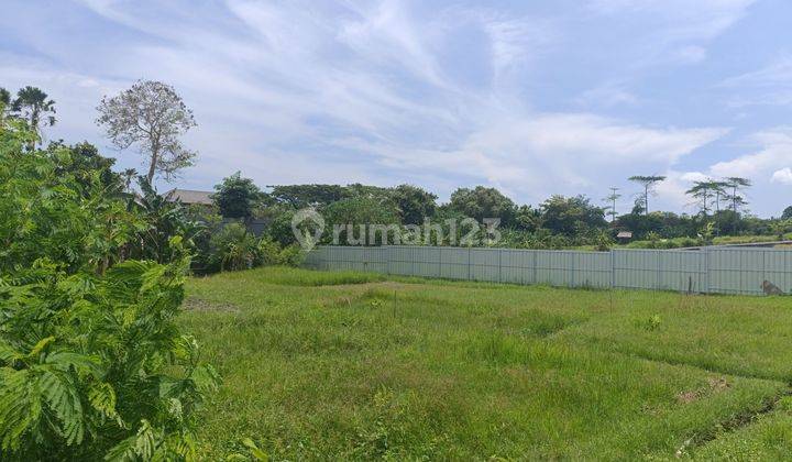 Land for Sale in Canggu 1