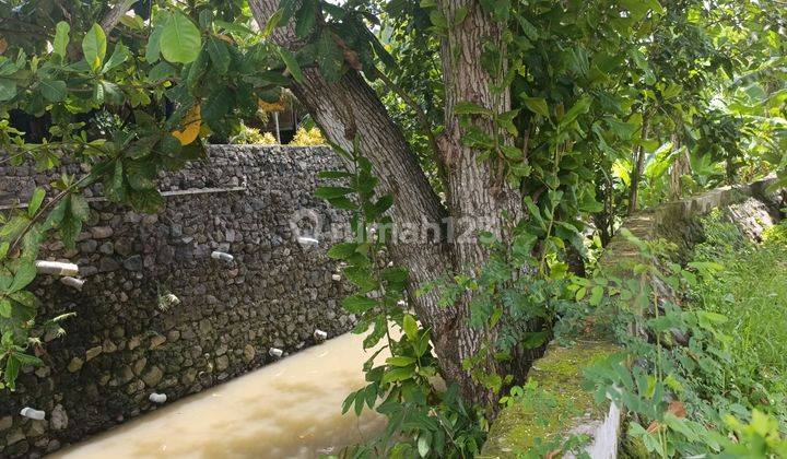 Land for Sale in Canggu 2